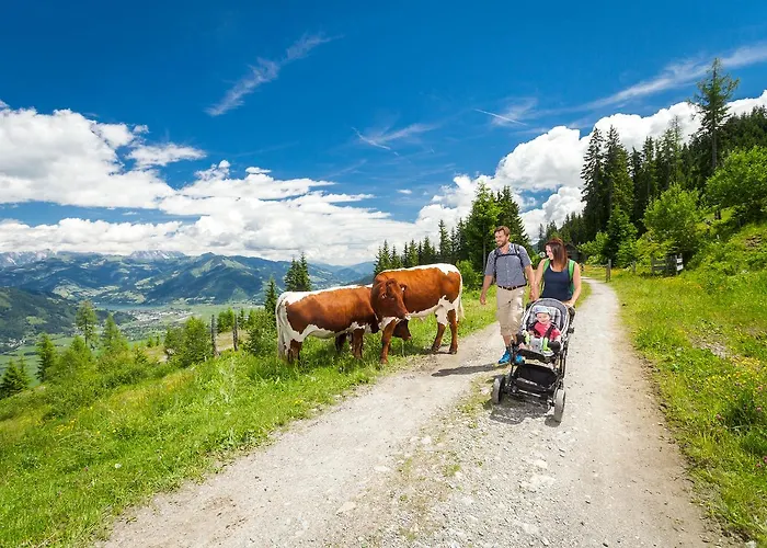 Jaga Hias Pensjonat 3*